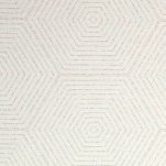 Sunbrella Fabric Canvas 